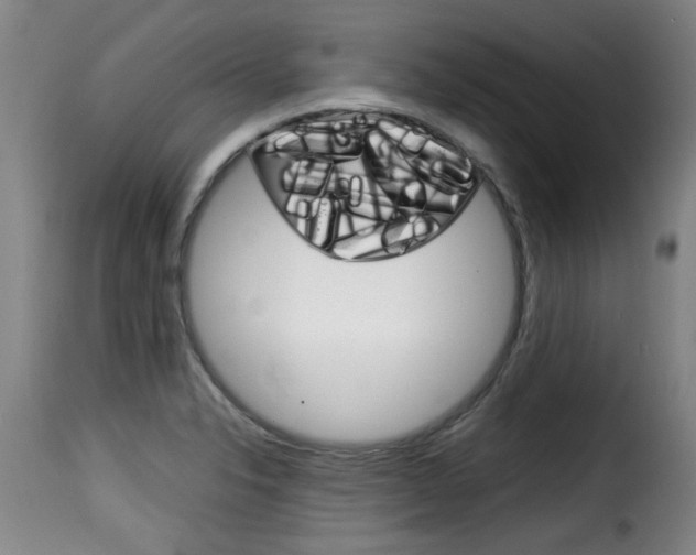 X0000116061326200911201152