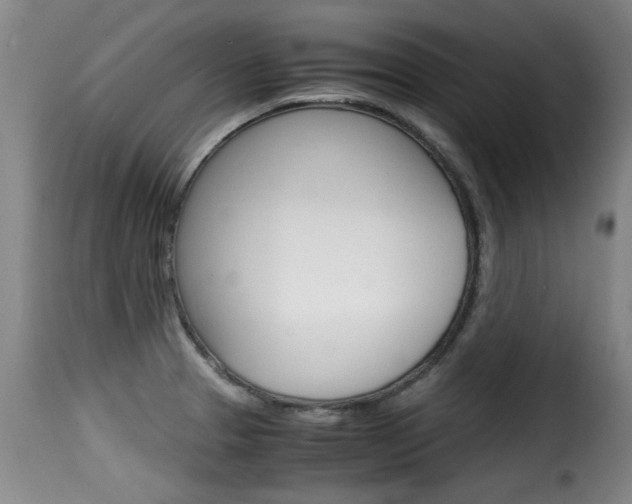 X0000116061329200911201152