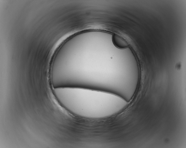 X0000116061331200911201152