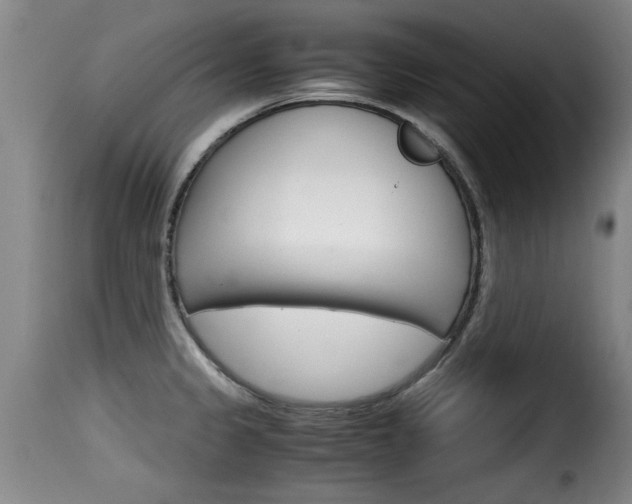 X0000116061333200911201152