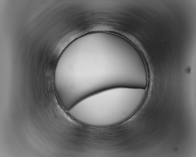 X0000116061337200911201152