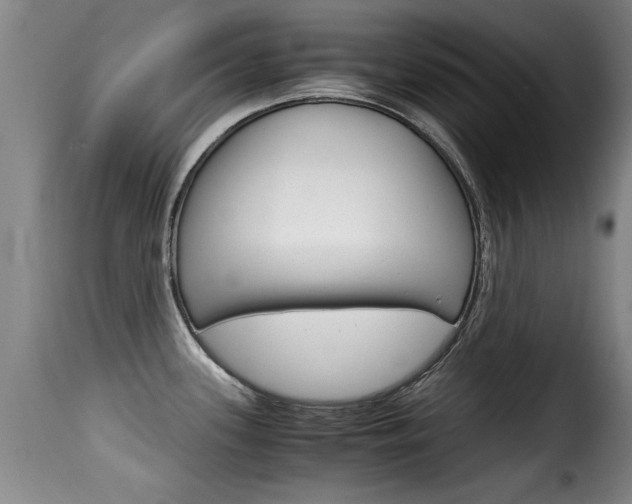 X0000116061339200911201152