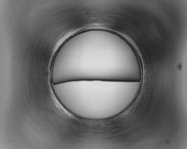 X0000116061341200911201152