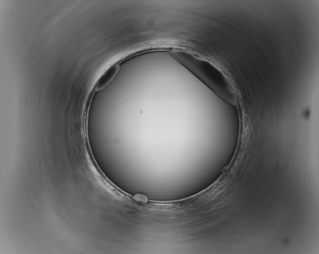 X0000116061342200911201152