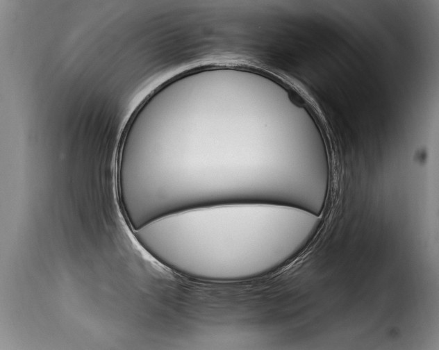 X0000116061343200911201152
