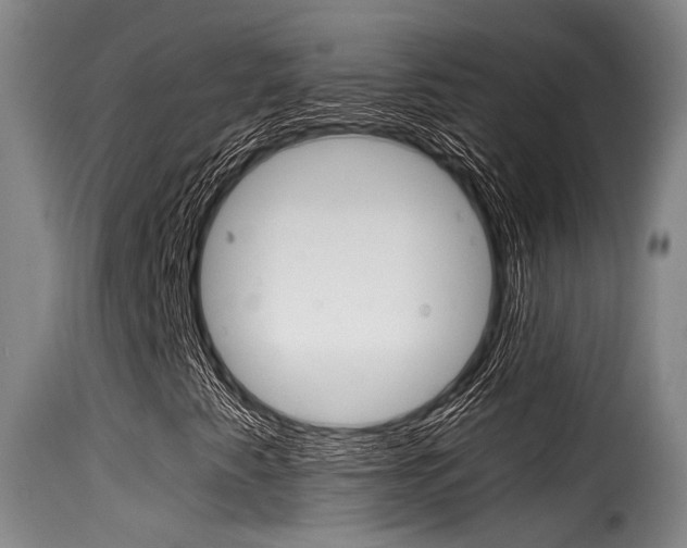 X0000116061345200911201151