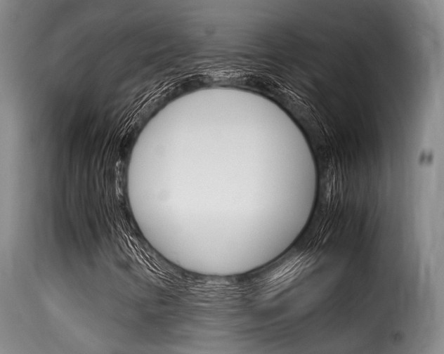 X0000116061346200911201151