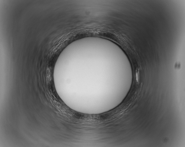 X0000116061347200911201151