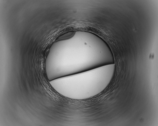 X0000116061348200911201151