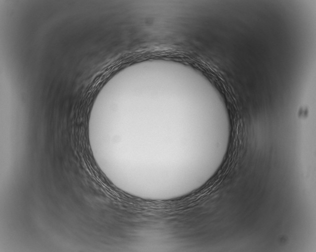 X0000116061349200911201151