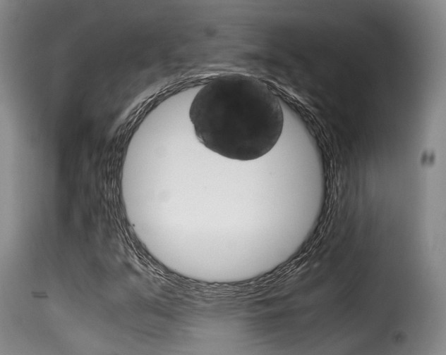 X0000116061351200911201151