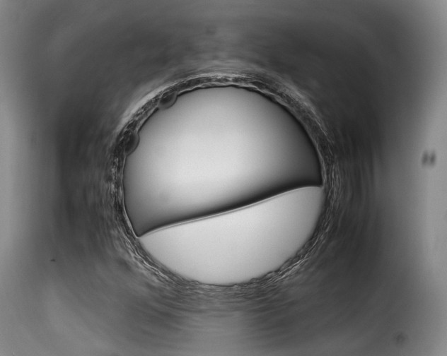 X0000116061352200911201151