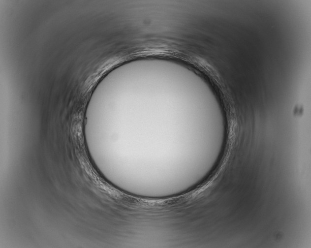 X0000116061353200911201151
