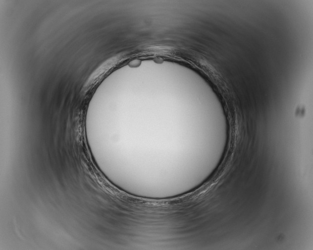 X0000116061354200911201151
