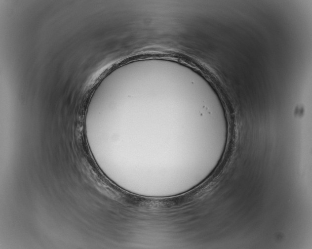 X0000116061355200911201151