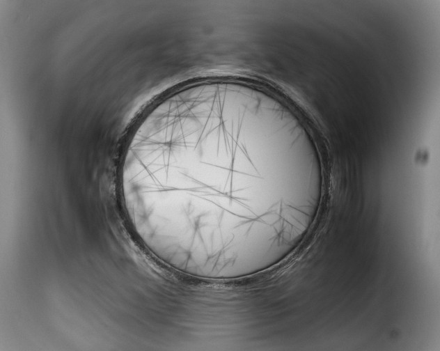 X0000116061356200911201151