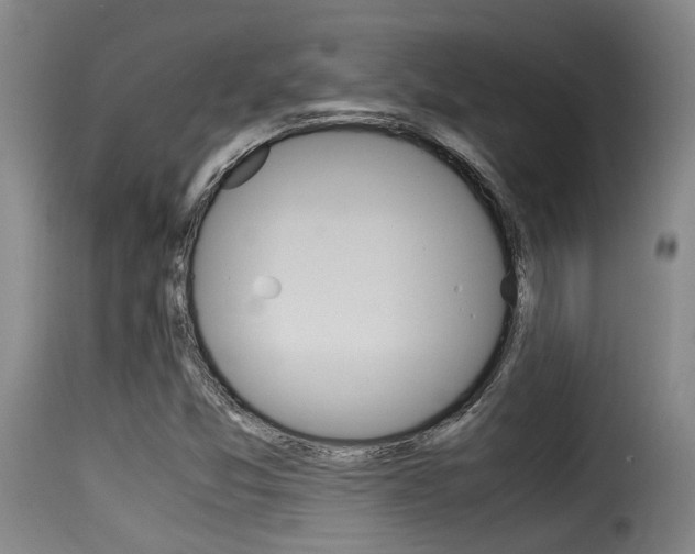 X0000116061357200911201151