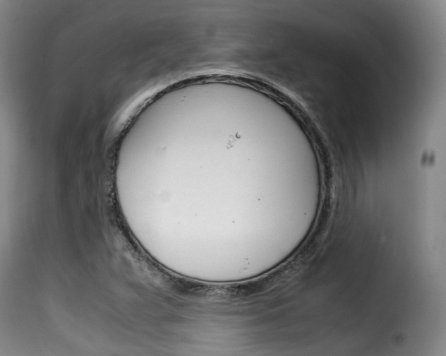 X0000116061359200911201151