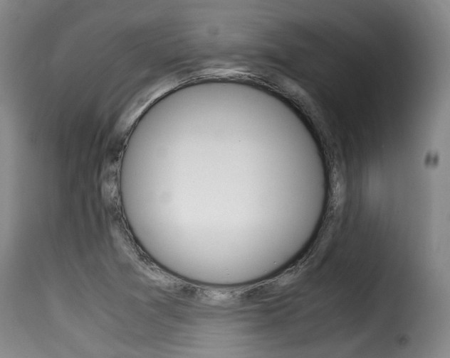 X0000116061361200911201151
