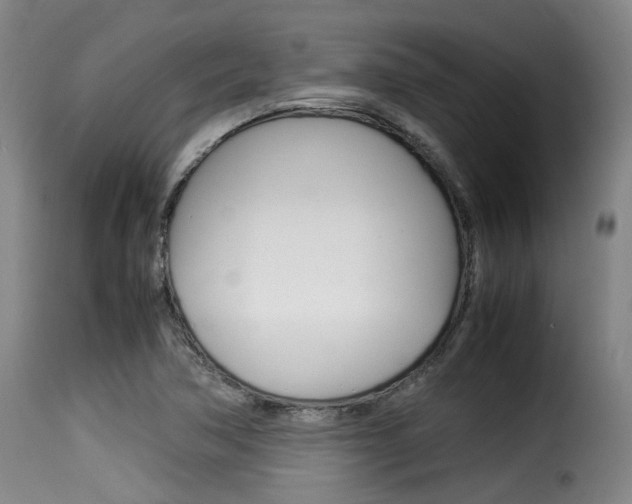 X0000116061362200911201151