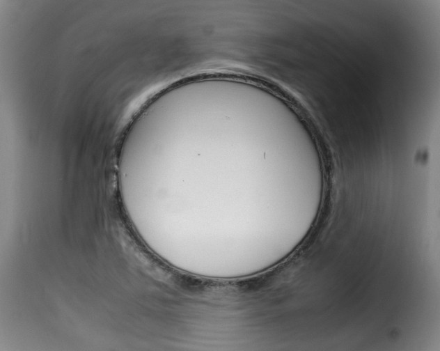 X0000116061363200911201151