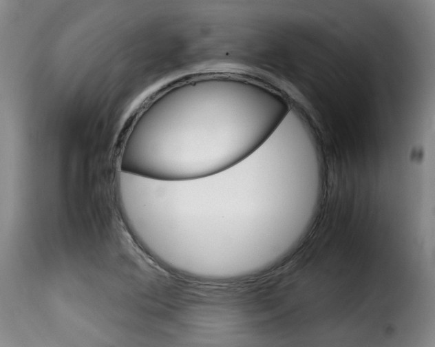 X0000116061364200911201151