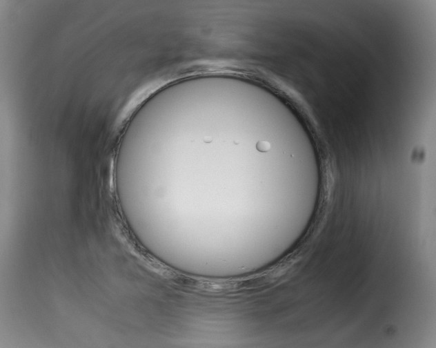 X0000116061365200911201151