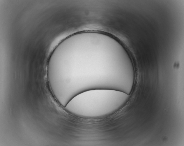 X0000116061366200911201151