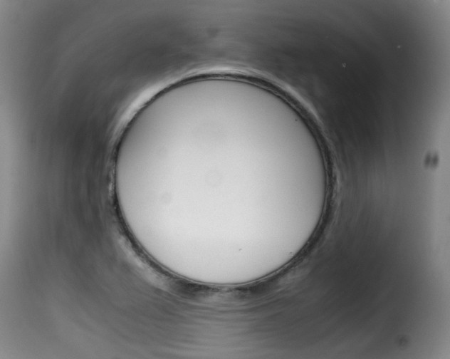 X0000116061367200911201151