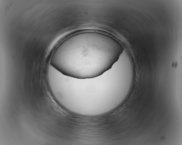 X0000116061368200911201151