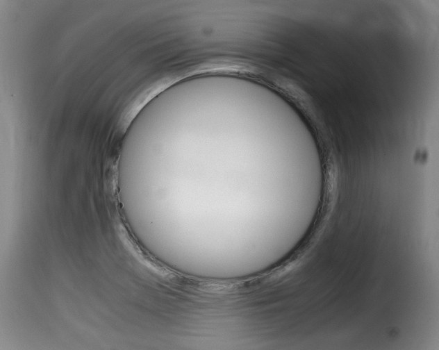 X0000116061369200911201151