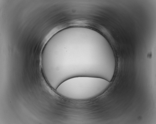 X0000116061370200911201151