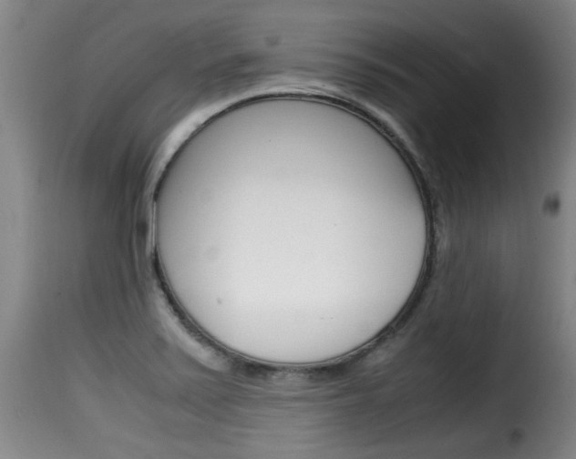 X0000116061371200911201151