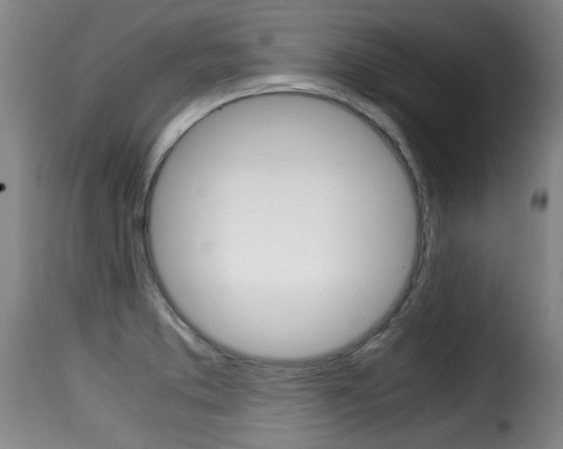 X0000116061373200911201151