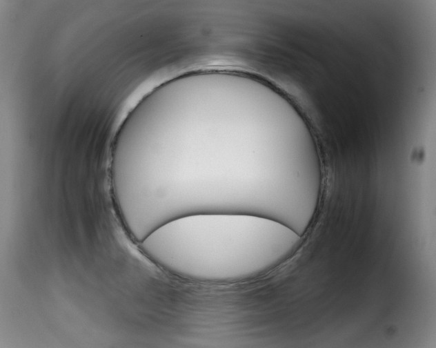 X0000116061374200911201151