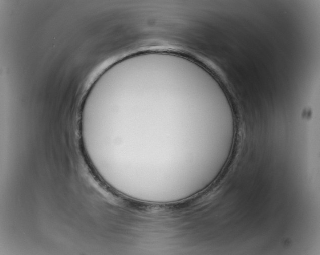 X0000116061375200911201151