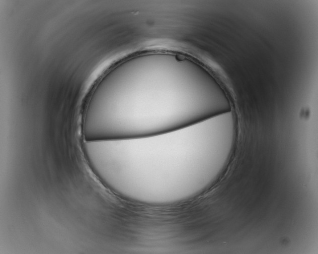 X0000116061376200911201151
