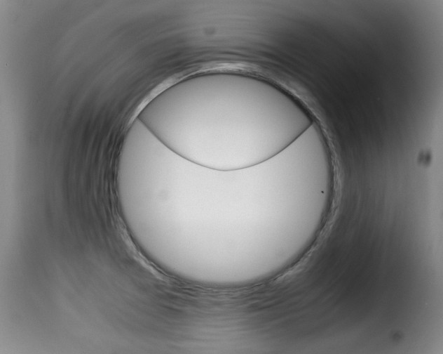 X0000116061377200911201151
