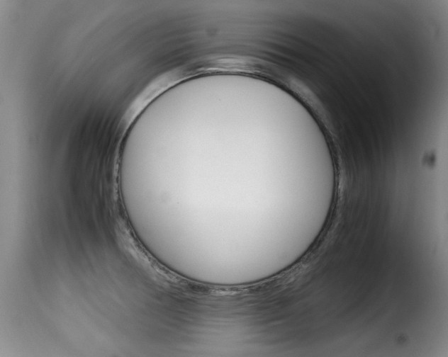 X0000116061378200911201151
