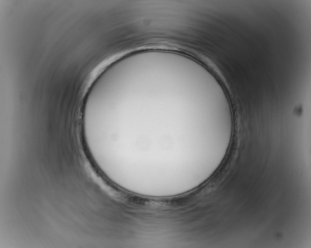 X0000116061379200911201151