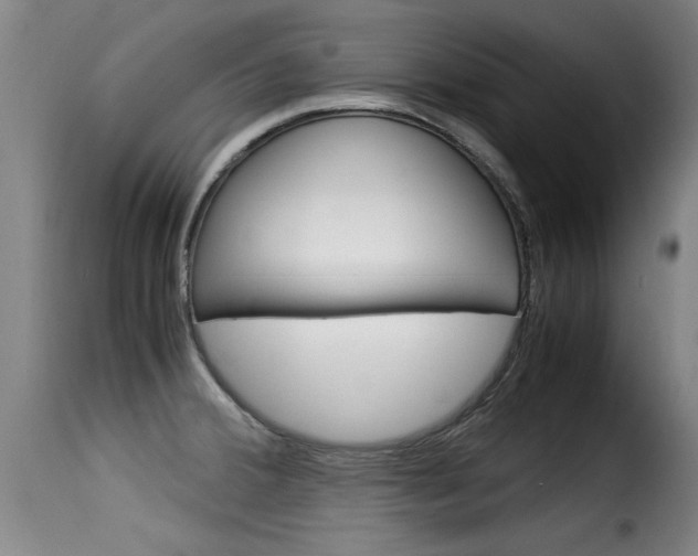 X0000116061380200911201151