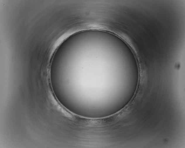 X0000116061381200911201151