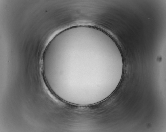 X0000116061383200911201151