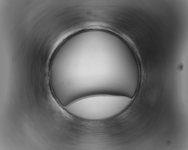 X0000116061384200911201151