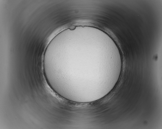 X0000116061386200911201151