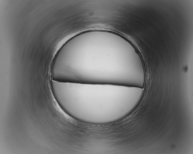 X0000116061387200911201151