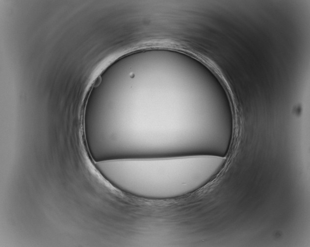X0000116061389200911201151