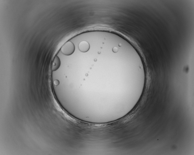 X0000116061390200911201151