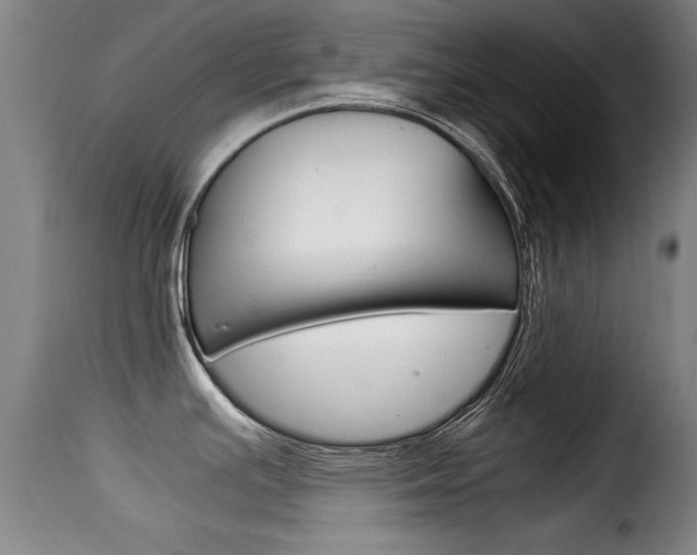 X0000116061391200911201151
