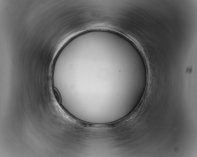 X0000116061392200911201151